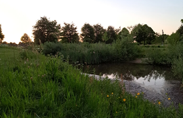 Omgeving van hotel 't Welinkg in de Achterhoek